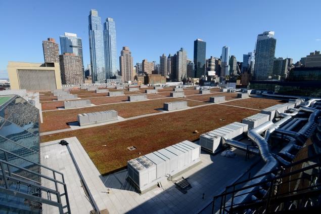 Javits10n 14 web